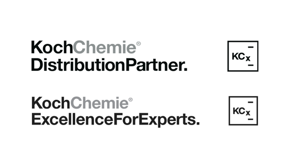 Gummifix Guf 1 Liter Koch Chemie  silikonölfrei, rutschfest – Kunststoffpflege – 48001